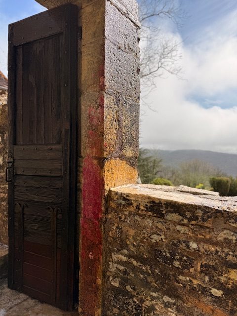 Réaction des champignons au produit nettoyant